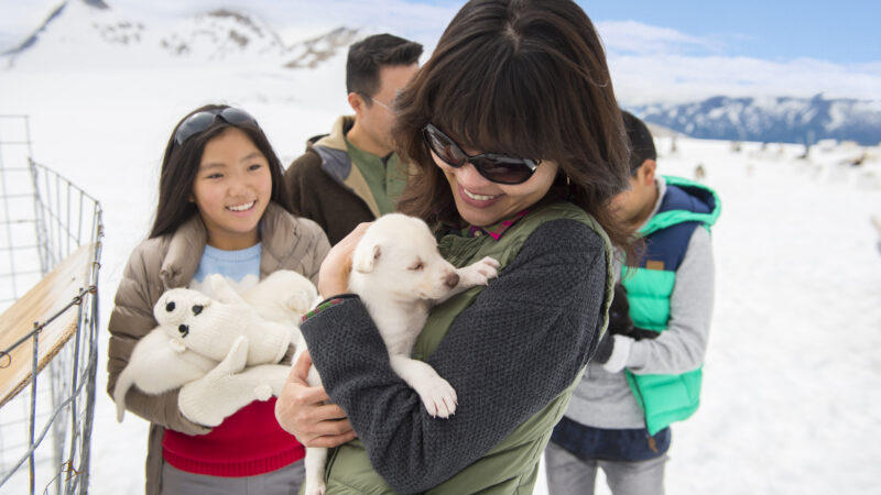 family cuddling sled dog puppies while on Disney cruise excursion