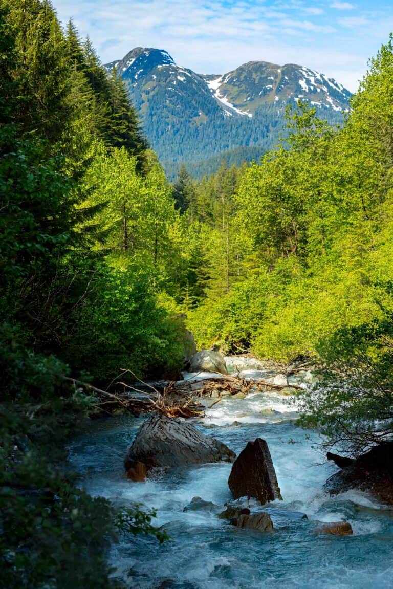 Family hiking path near Juneau on Royal Caribbean Cruise excursion