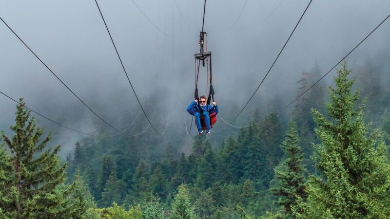Zipline of icy straight point in alaska