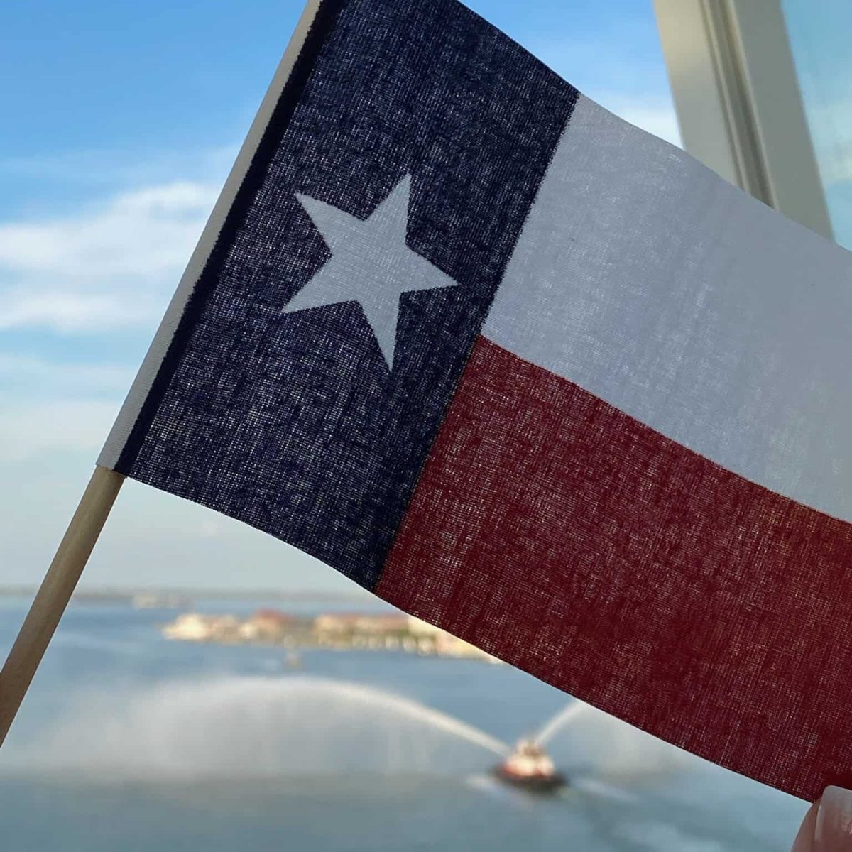 texas flag overlooking Port of Galveston from cruise ship deck